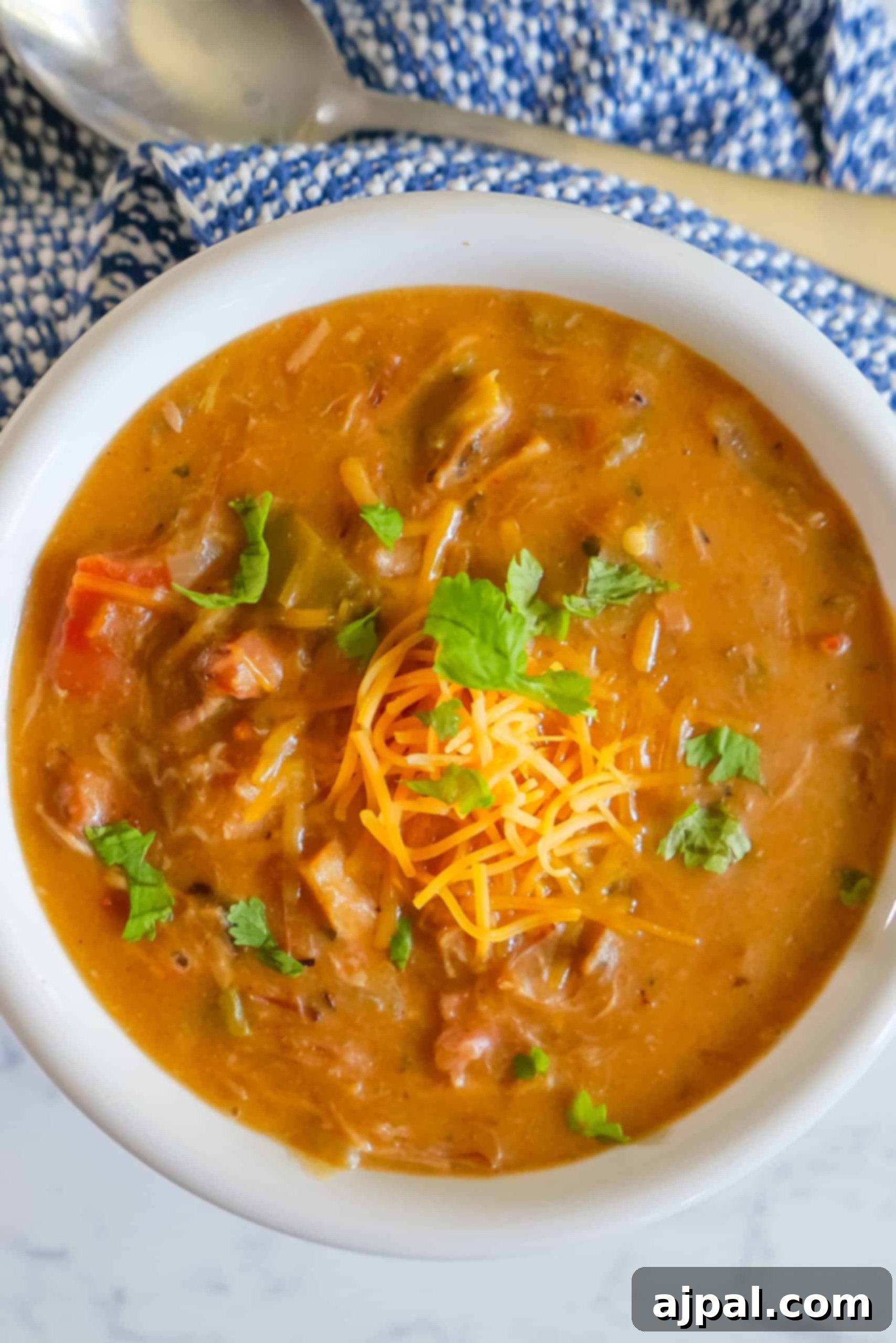 Close-up of a rich, thick Colorado Pork Green Chile, showcasing its tender pork chunks and vibrant color.