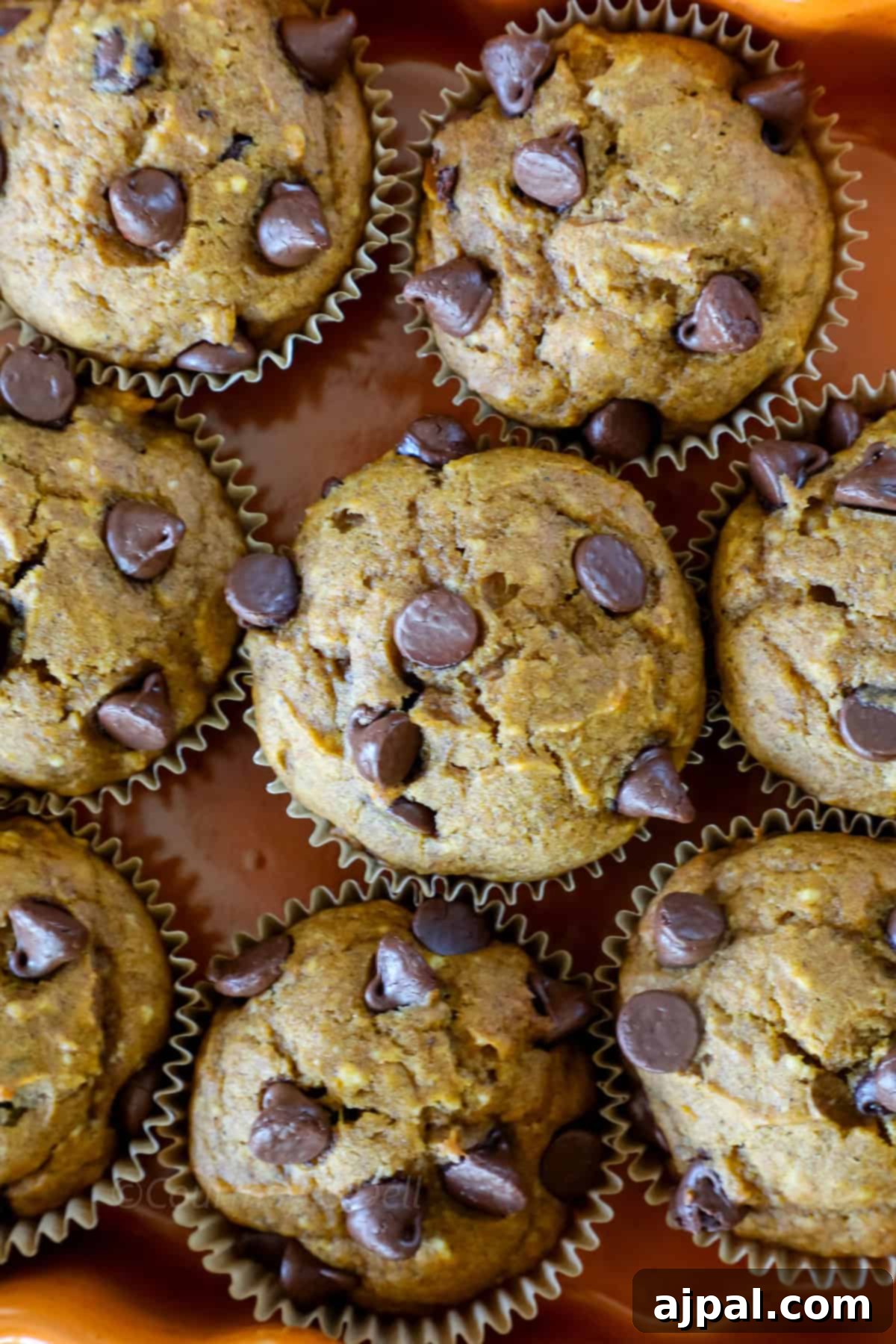 A close-up of eight chocolate chip muffins arranged on a plate. The muffins are baked and studded with chocolate chips.