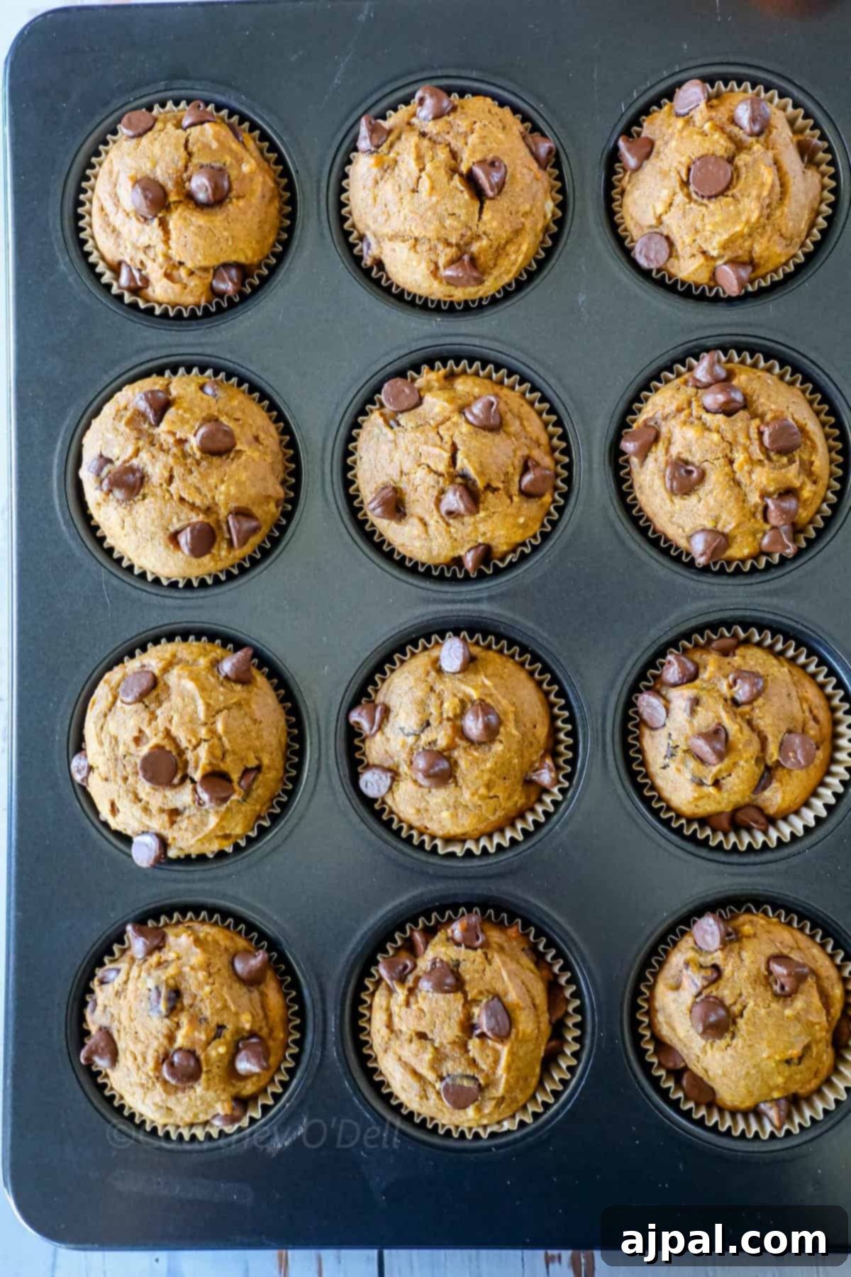 A muffin tray with twelve chocolate chip muffins, each in a paper liner, freshly baked and evenly spaced within the tray.