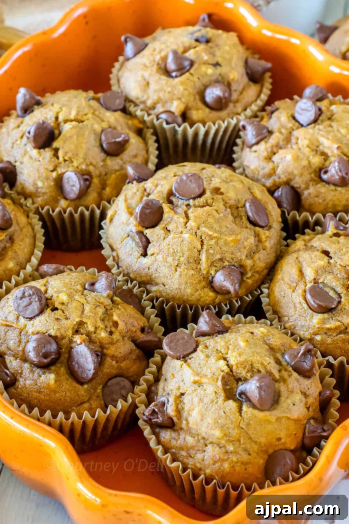 A tray of freshly baked muffins with chocolate chips, arranged in a scalloped orange dish.