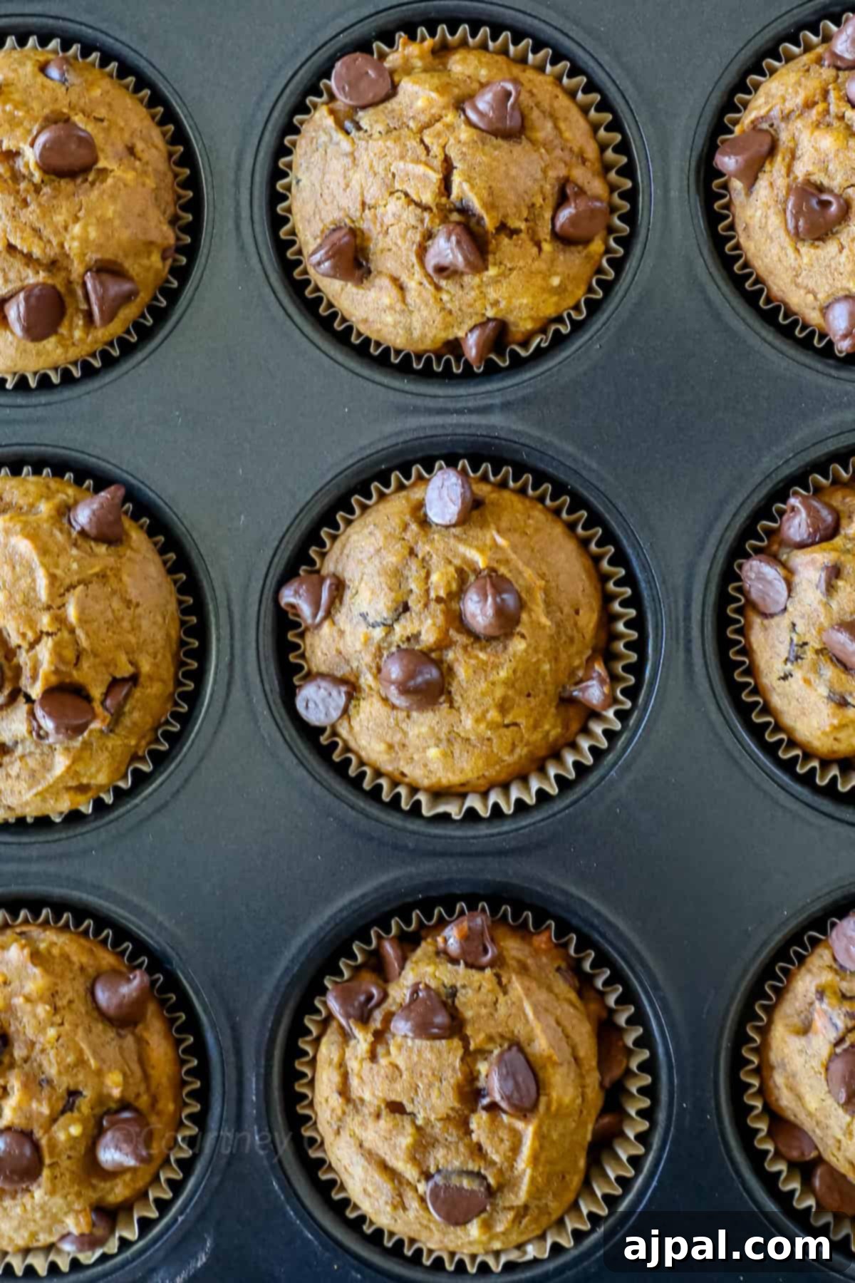Nine chocolate chip muffins in a muffin tin, each muffin topped with chocolate chips.