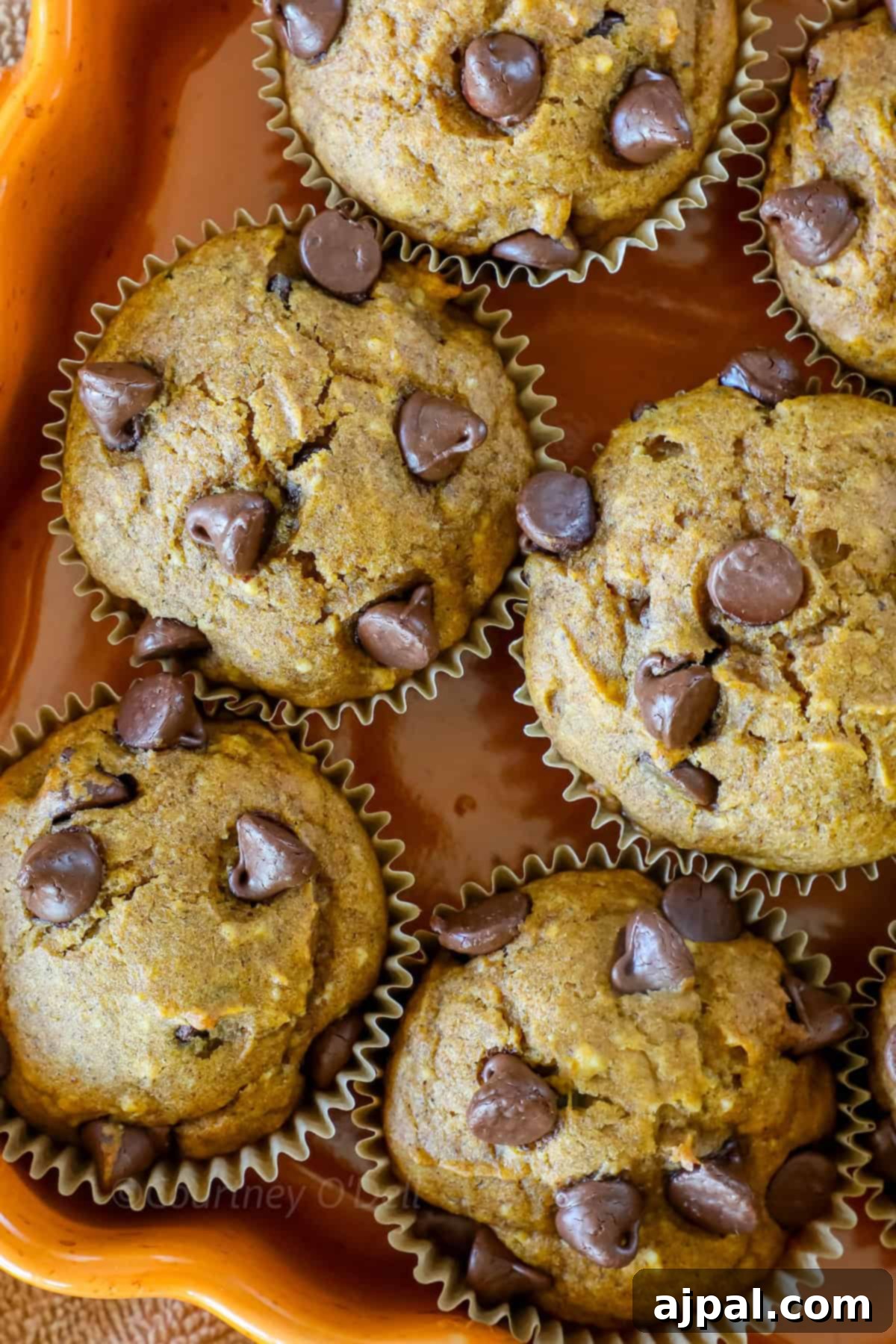 A close-up view of six chocolate chip muffins in paper liners, arranged in an orange dish. The muffins are golden-brown and generously studded with chocolate chips.