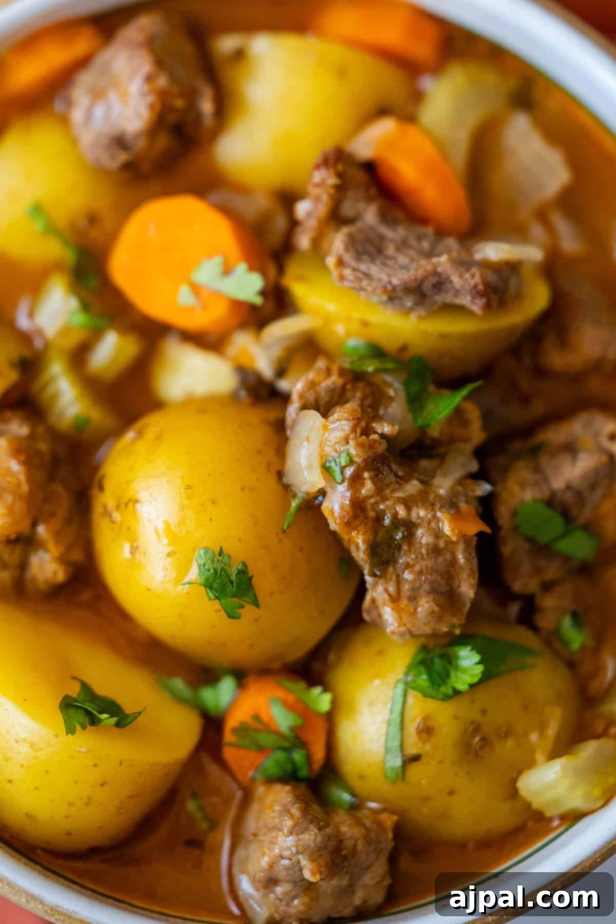 Simple Beef Stew 2 Close-up of a bowl filled with a hearty beef stew, showcasing chunks of beef, potatoes, carrots, celery, and a rich broth. This classic recipe is garnished with fresh herbs for an inviting touch.