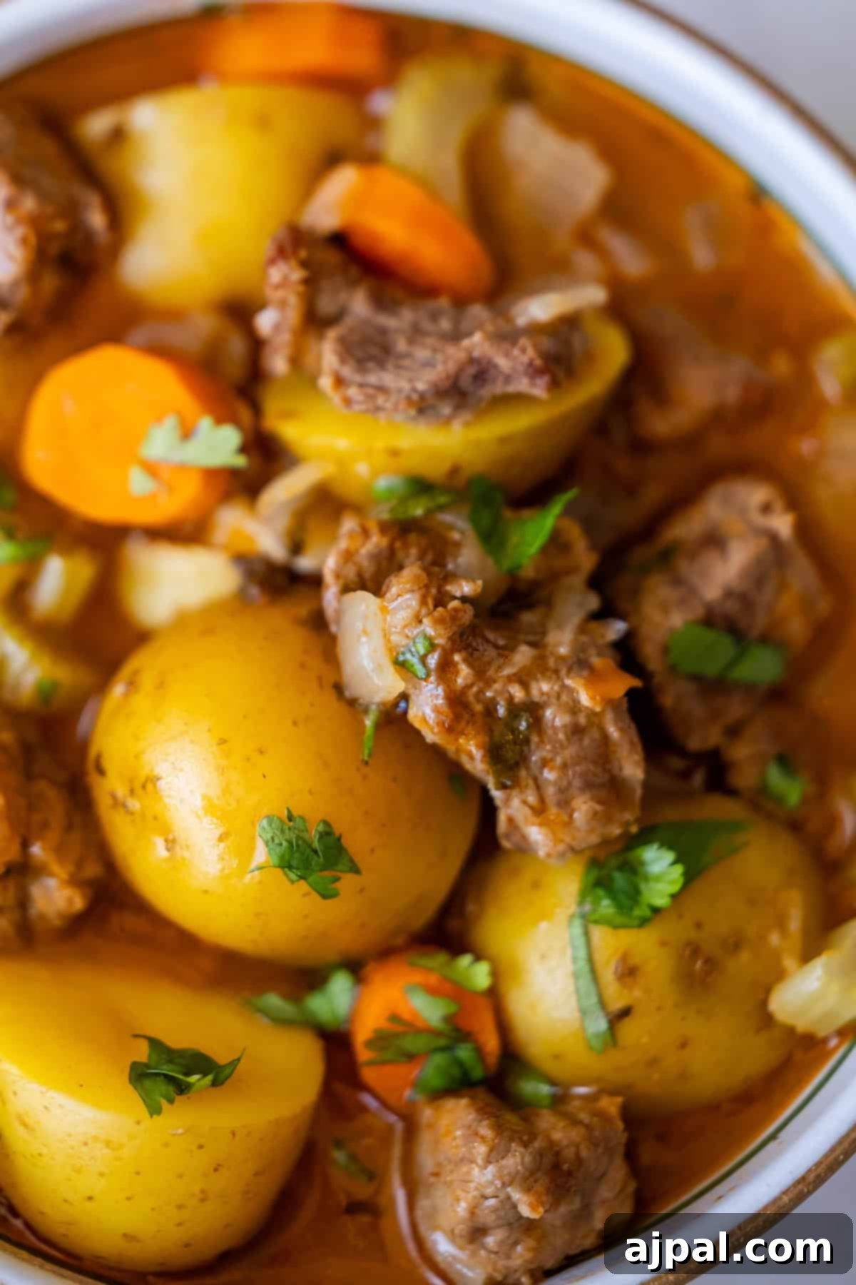 Simple Beef Stew 14 A close-up of a hearty, classic beef stew featuring chunks of meat, yellow potatoes, chopped carrots, and garnished with fresh herbs.