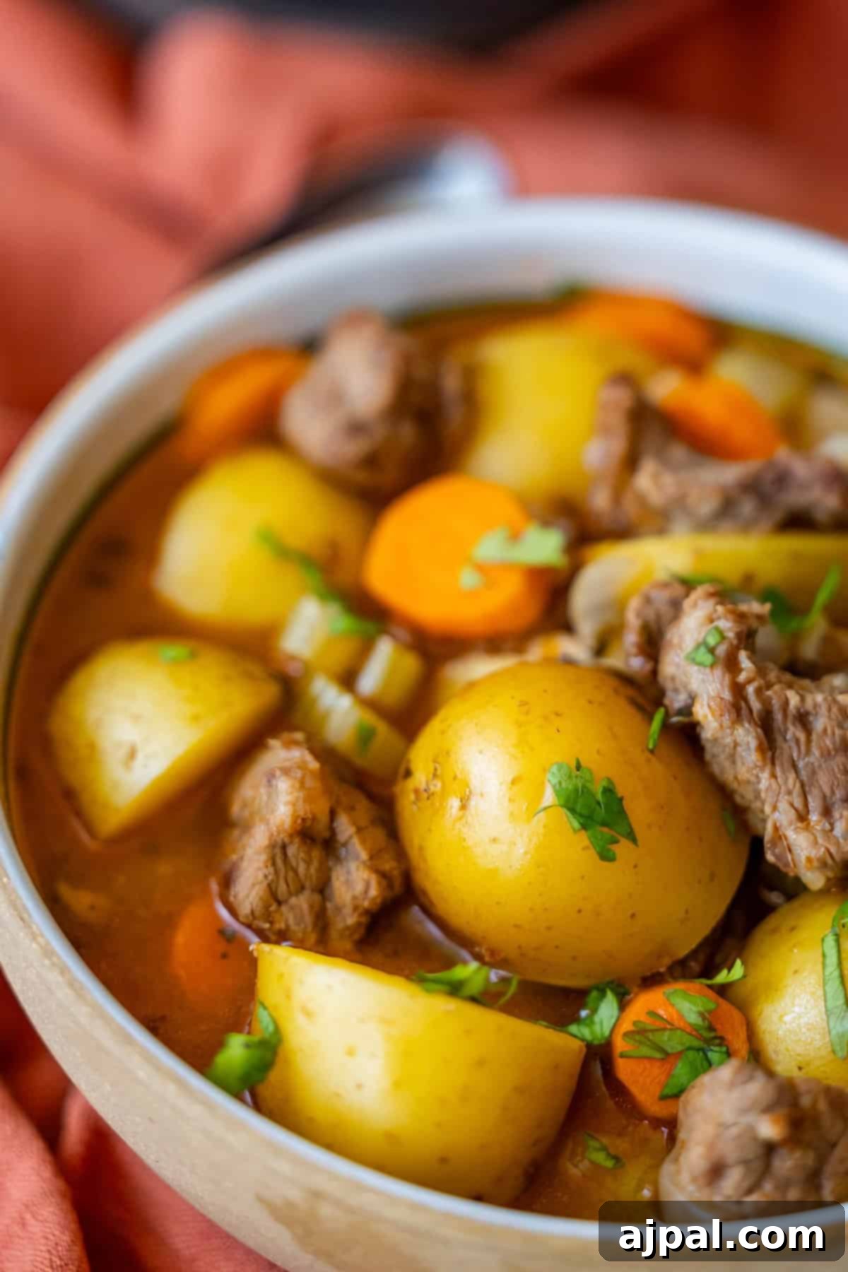 Simple Beef Stew 3 A bowl of hearty Classic Beef Stew containing chunks of beef, potatoes, carrots, and garnished with parsley.