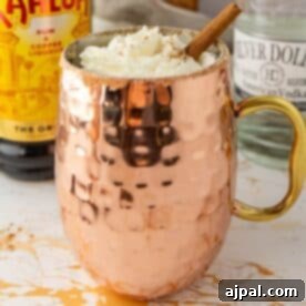 A copper mug with whipped cream and a cinnamon stick on top, surrounded by bottles of Kahlua and Silver Dollar alcohol on a white countertop.