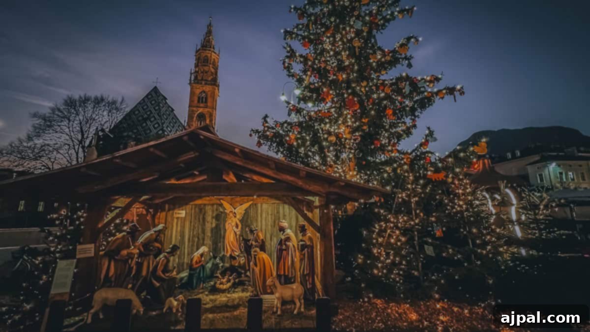 Bolzano's Magical Christmas Market 17 At night, the nativity scene glows beside a lit Christmas tree, with Bolzano’s tall tower forming a picturesque backdrop, capturing the festive spirit of the town known for its charming Christmas Market.