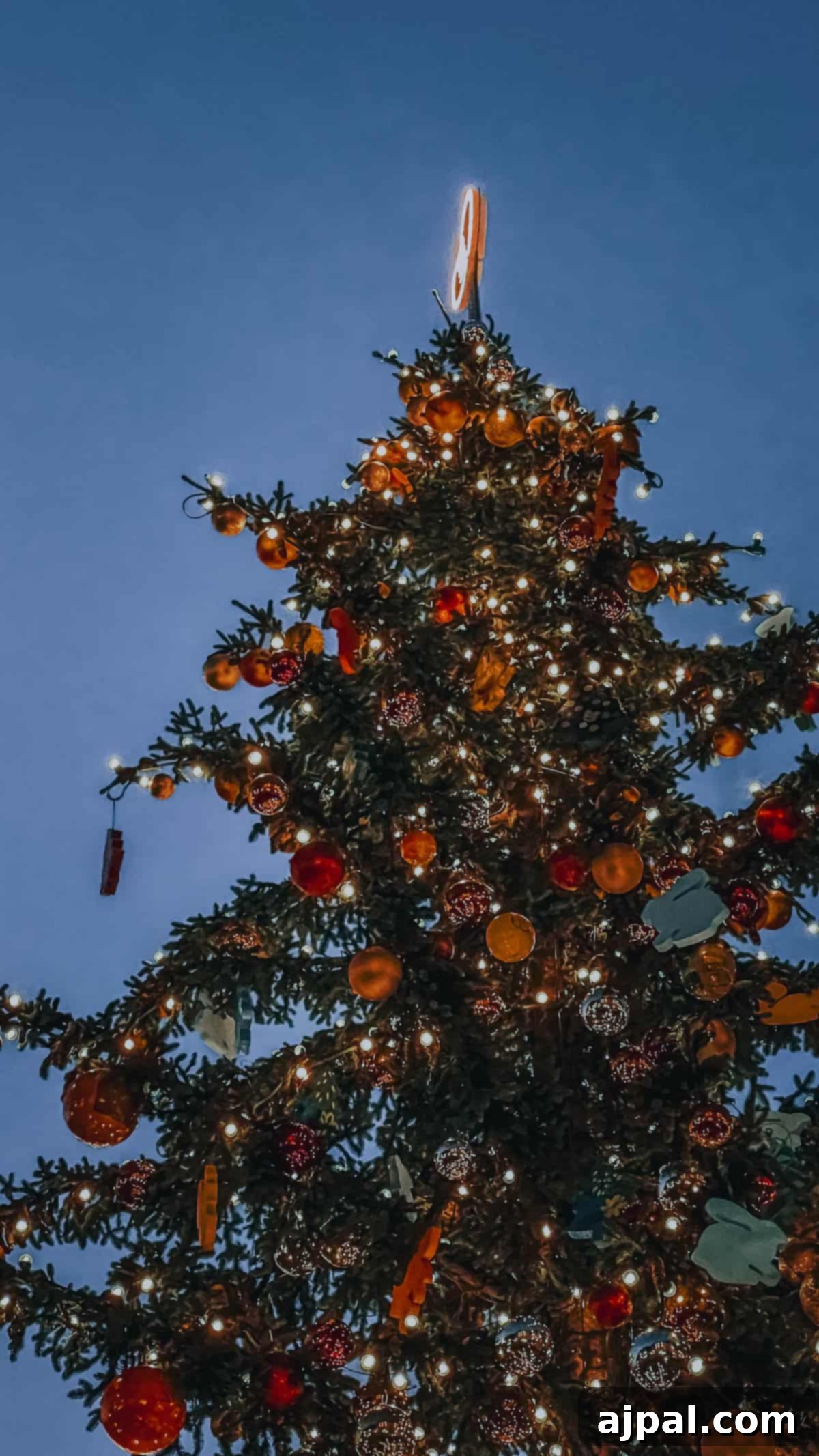 Bolzano's Magical Christmas Market 3 A decorated Christmas tree adorned with lights and ornaments stands vibrant against the dark sky, capturing the festive spirit of the Bolzano Christmas market.