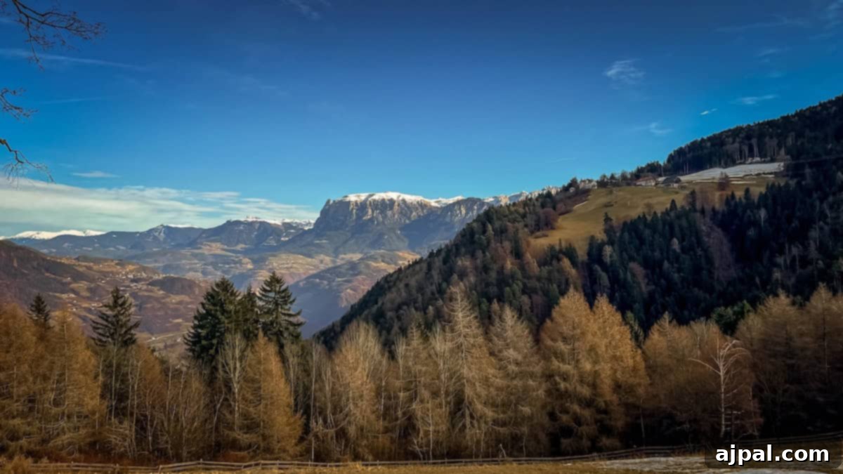 Bolzano's Magical Christmas Market 22 Mountain landscape with snow-capped peaks in the distance, dense forests, and rolling hills under a clear blue sky, reminiscent of Bolzano's serene backdrop during the festive Christmas Market season.