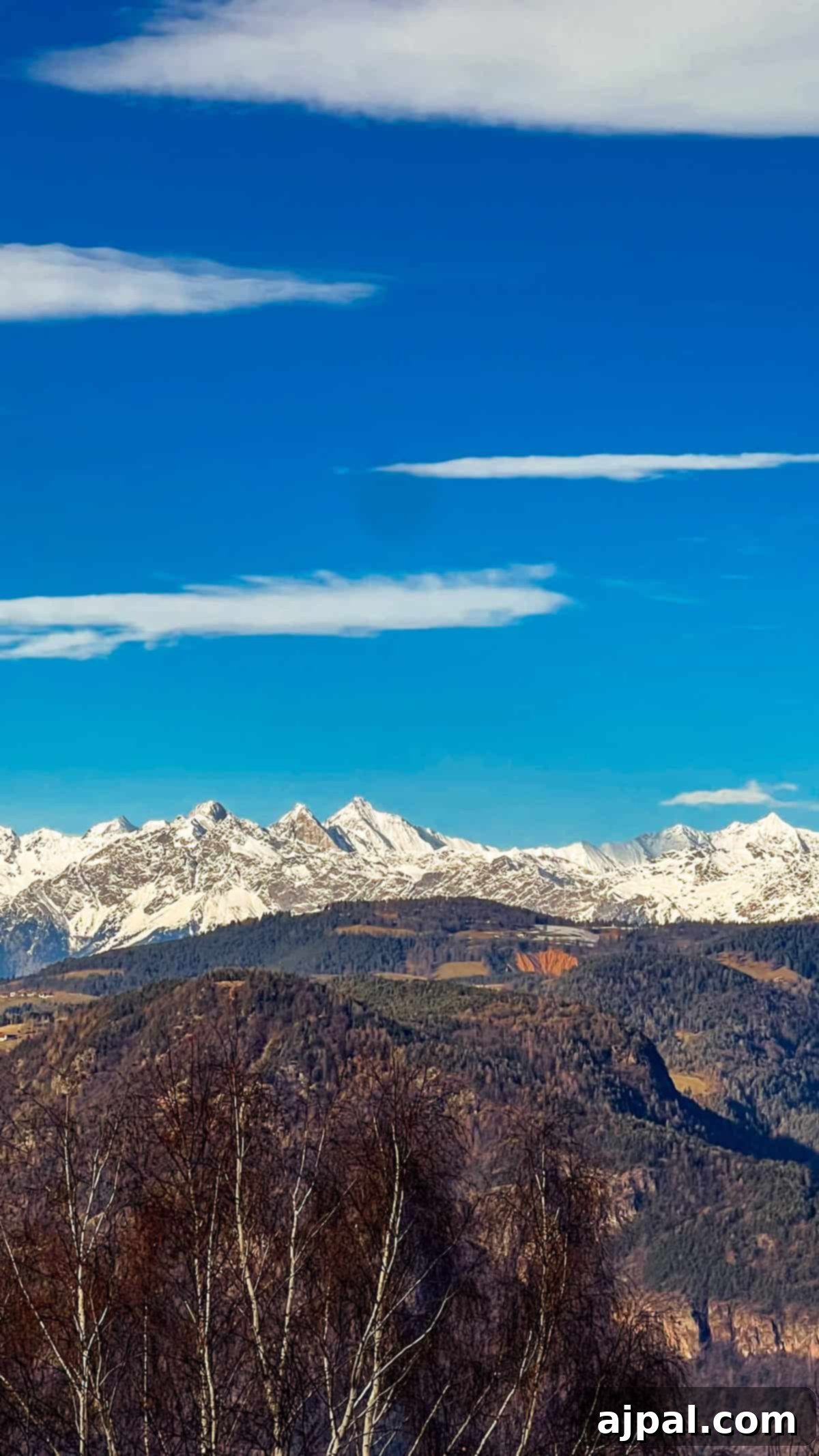 Bolzano's Magical Christmas Market 5 Snow-capped mountains under a clear blue sky with scattered clouds, trees in the foreground, reminiscent of the scenic beauty surrounding Bolzano during its enchanting Christmas Market season.