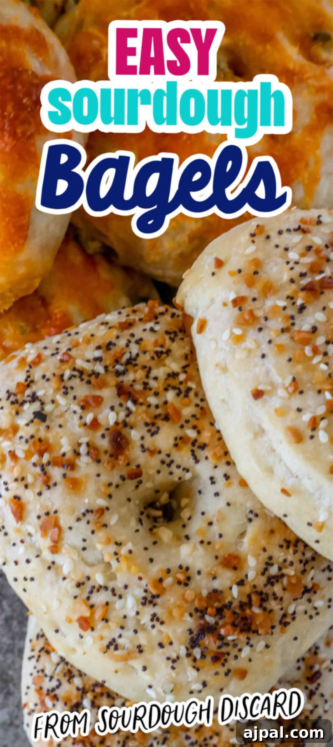 Close-up of assorted sourdough discard bagels with various toppings. Text reads "Easy sourdough bagels from sourdough discard" inviting home bakers to try the recipe.