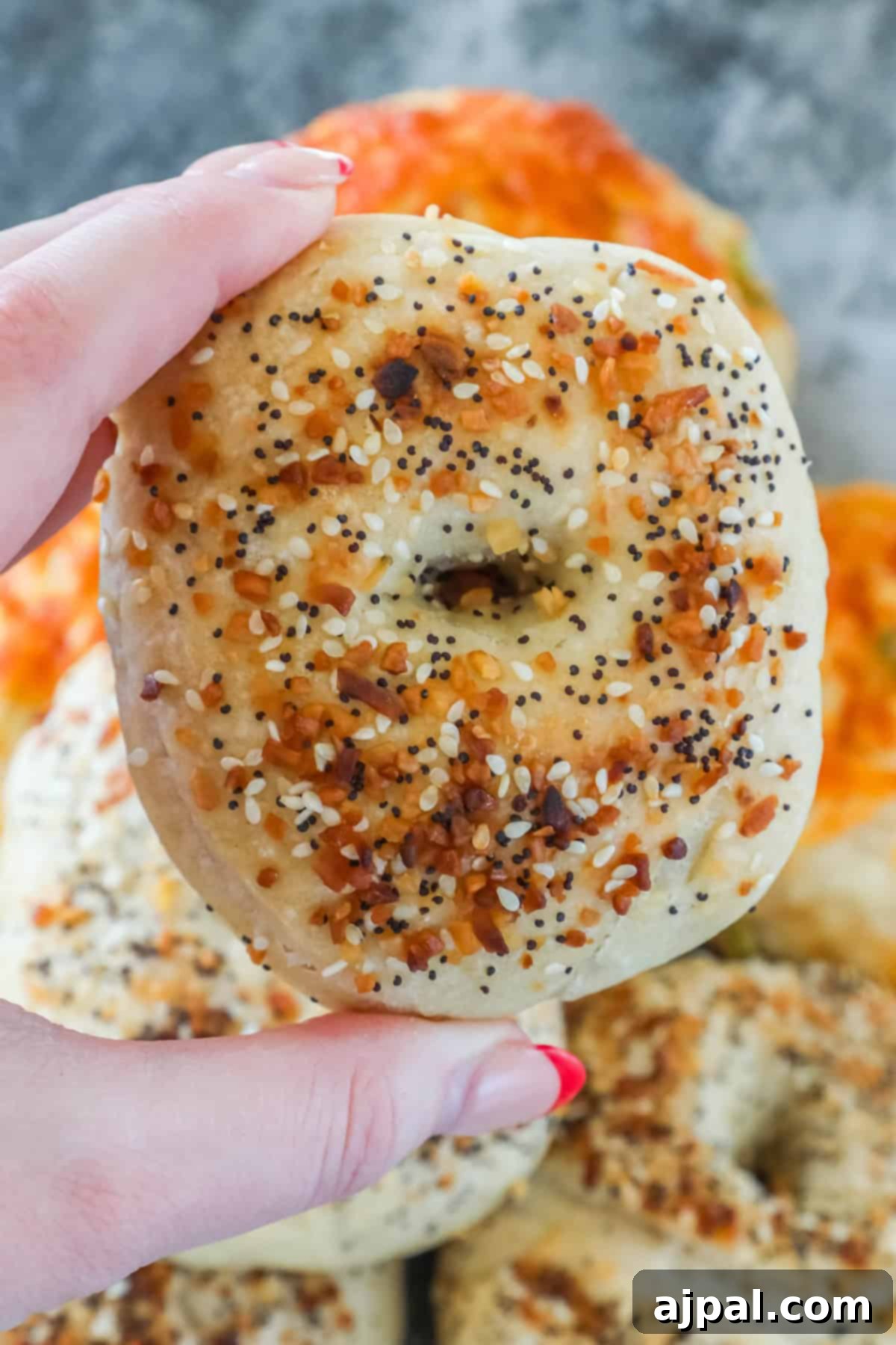 A hand holding an everything bagel, crafted from sourdough discard, topped with a generous mix of seeds and seasoning, with more delicious bagels in the background.