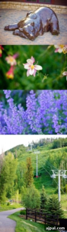 Parents' Vail Escape 9 A beautiful collage featuring a wooded ski resort, vibrant columbine flowers blooming, and delicate lavender in full bloom, showcasing the diverse natural beauty of Vail, Colorado in summer.