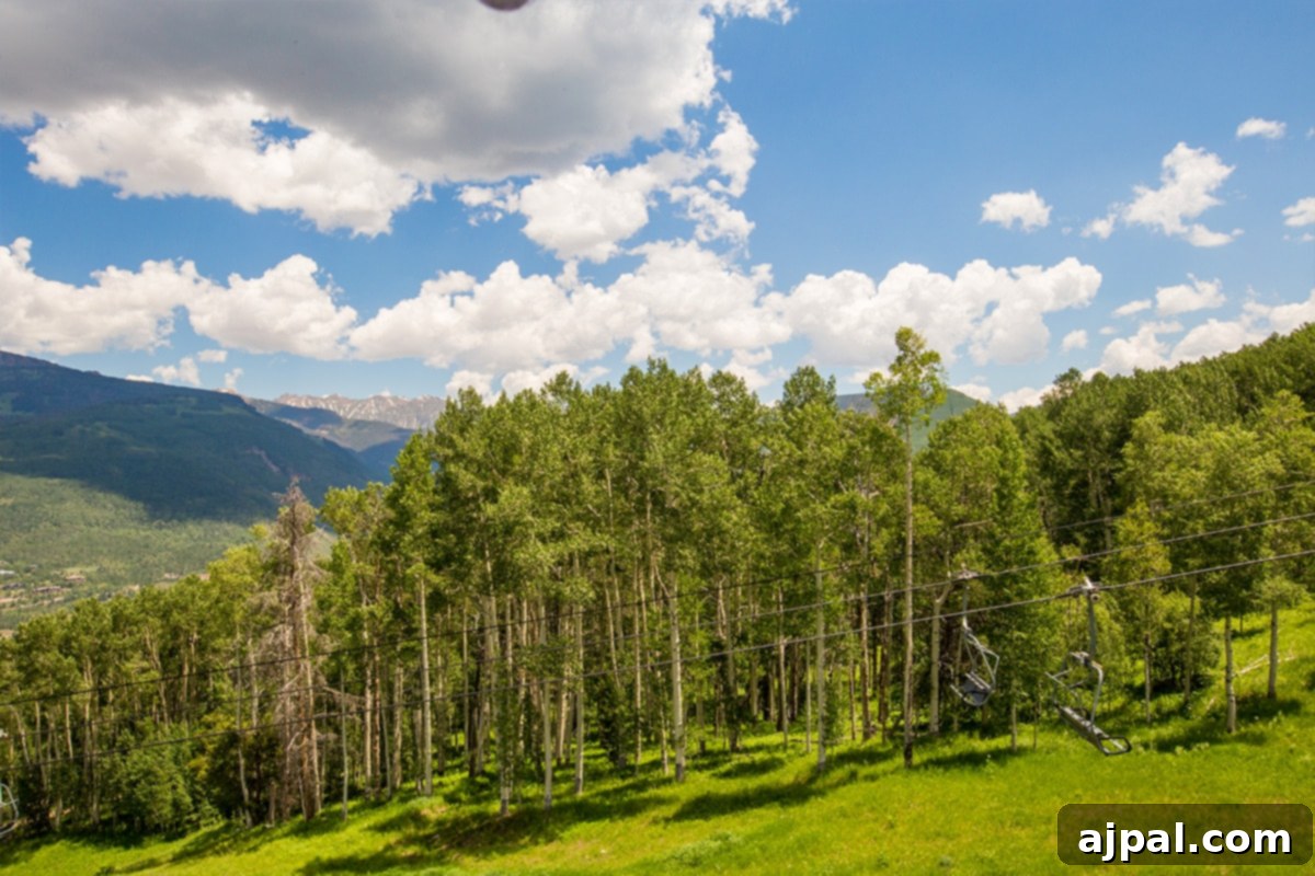 Parents' Vail Escape 4 A breathtaking panoramic view of the majestic mountains and lush wooded foreground from Vail's Eagle Bahn Gondola during summer, offering stunning vistas for all visitors.