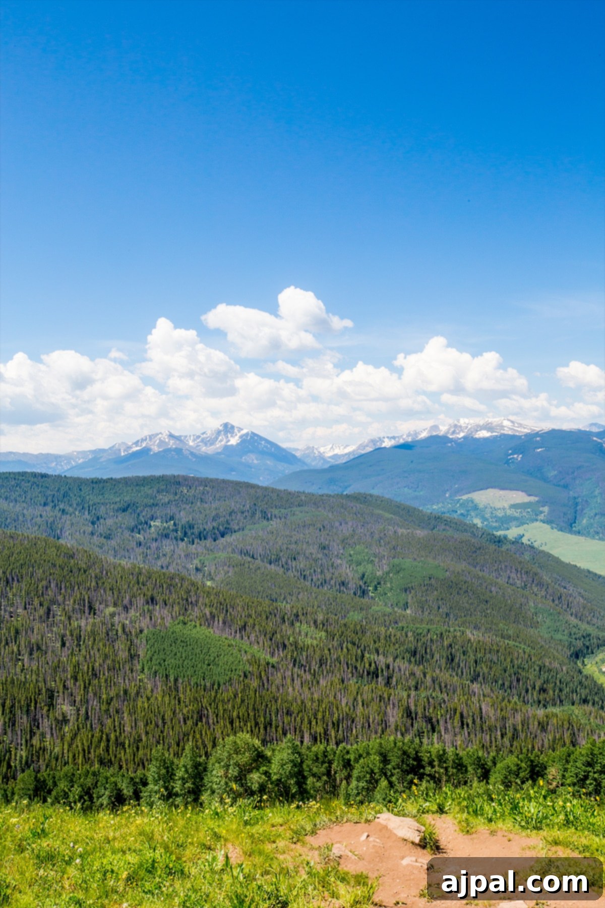 Parents' Vail Escape 7 A person riding a horse in Vail, enjoying the summer at Eagle Bahn Gondola, with stunning mountain scenery and lush forests in the background.
