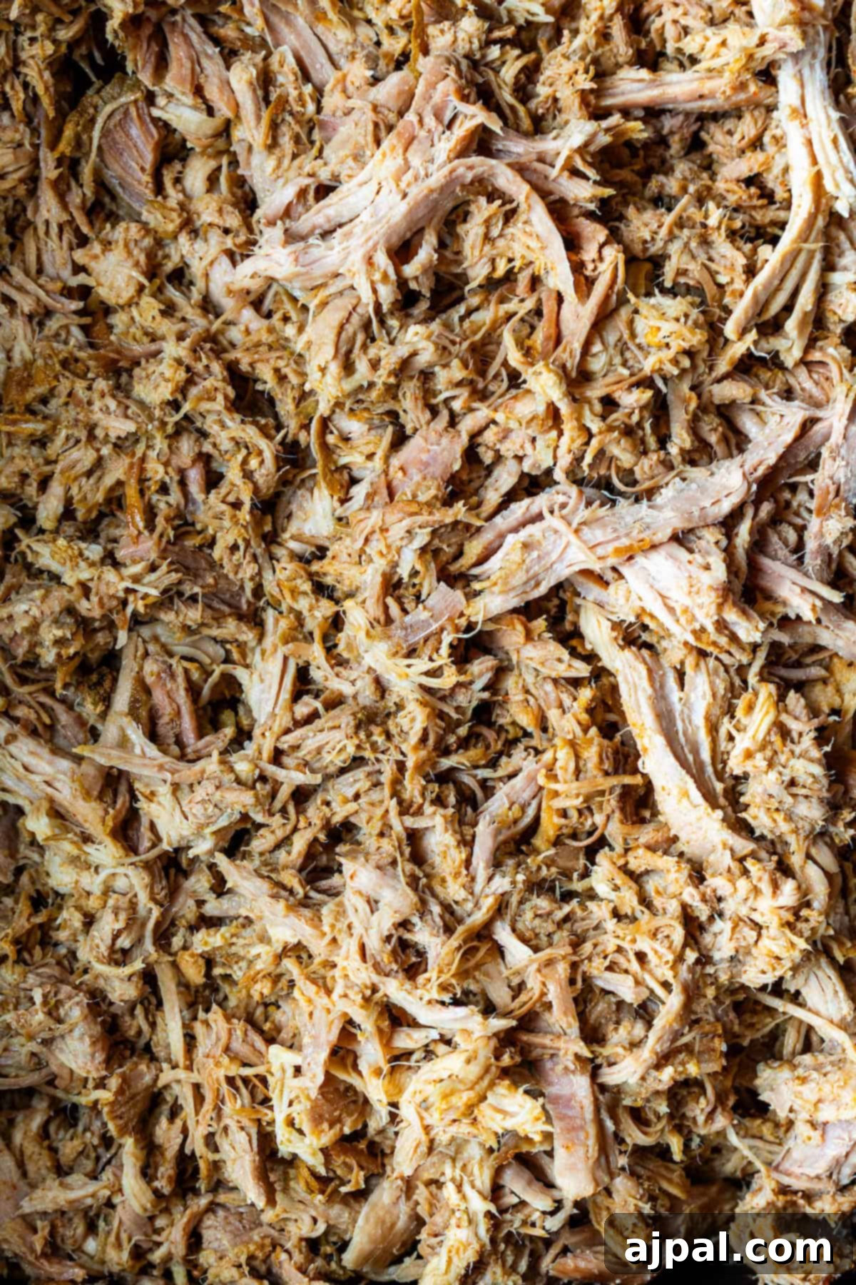 Close-up of tender, shredded Carnitas with visible seasoning and varying textures throughout the meat.