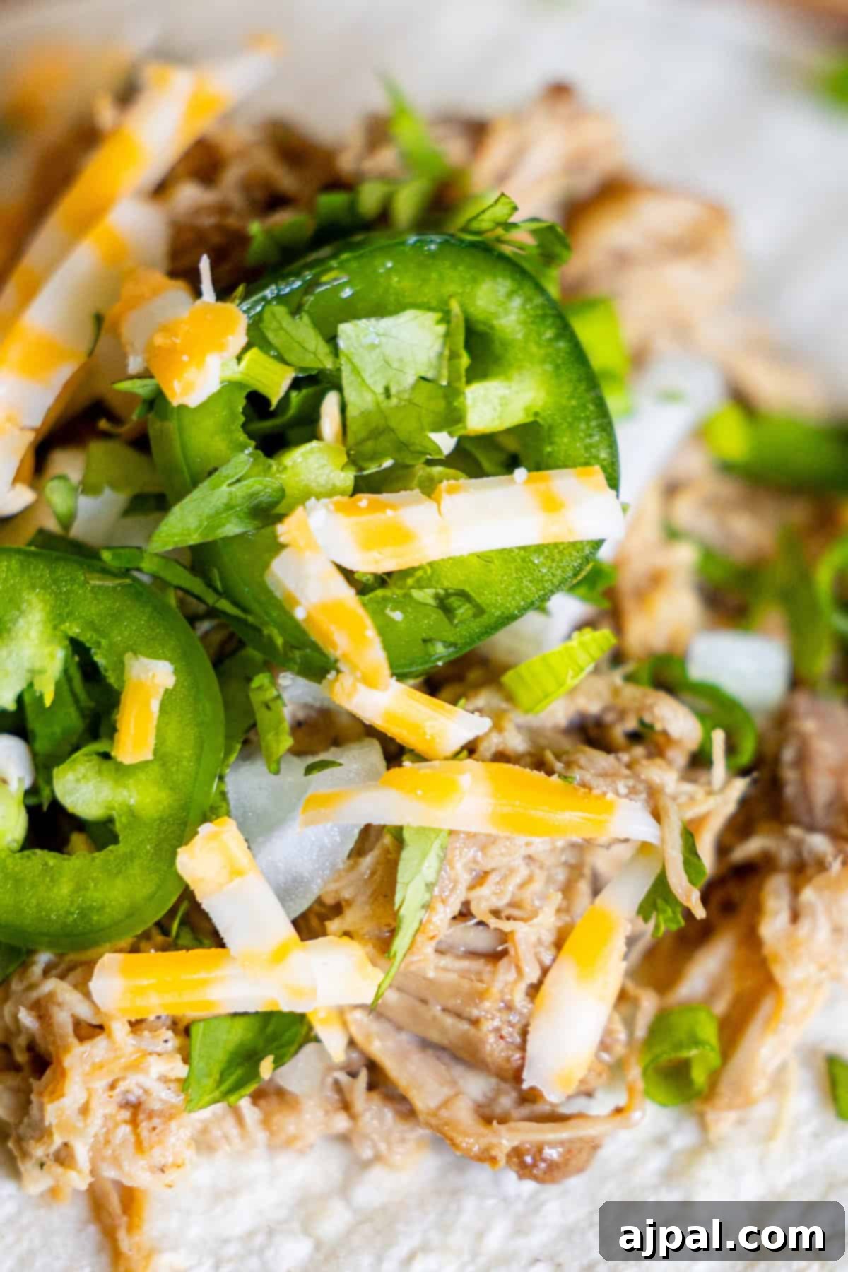 Perfectly Tender Crispy Slow Cooker Carnitas 10 A close-up of a delectable tortilla generously loaded with Slow Cooker Carnitas, topped with fresh sliced jalapeños, bright chopped cilantro, vibrant green onions, finely diced red onions, and a sprinkle of shredded cheese.