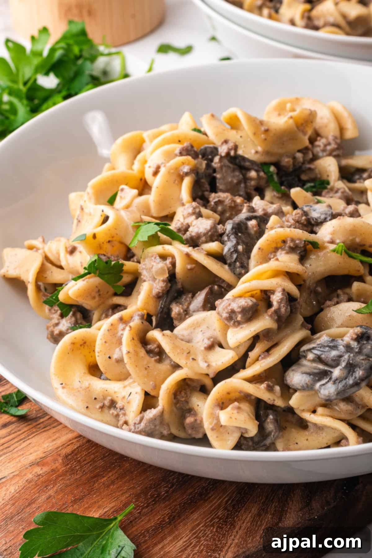 A close-up of a bowl of Slow Cooker Beef Stroganoff with egg noodles, ground beef, mushrooms, and garnished with fresh parsley.