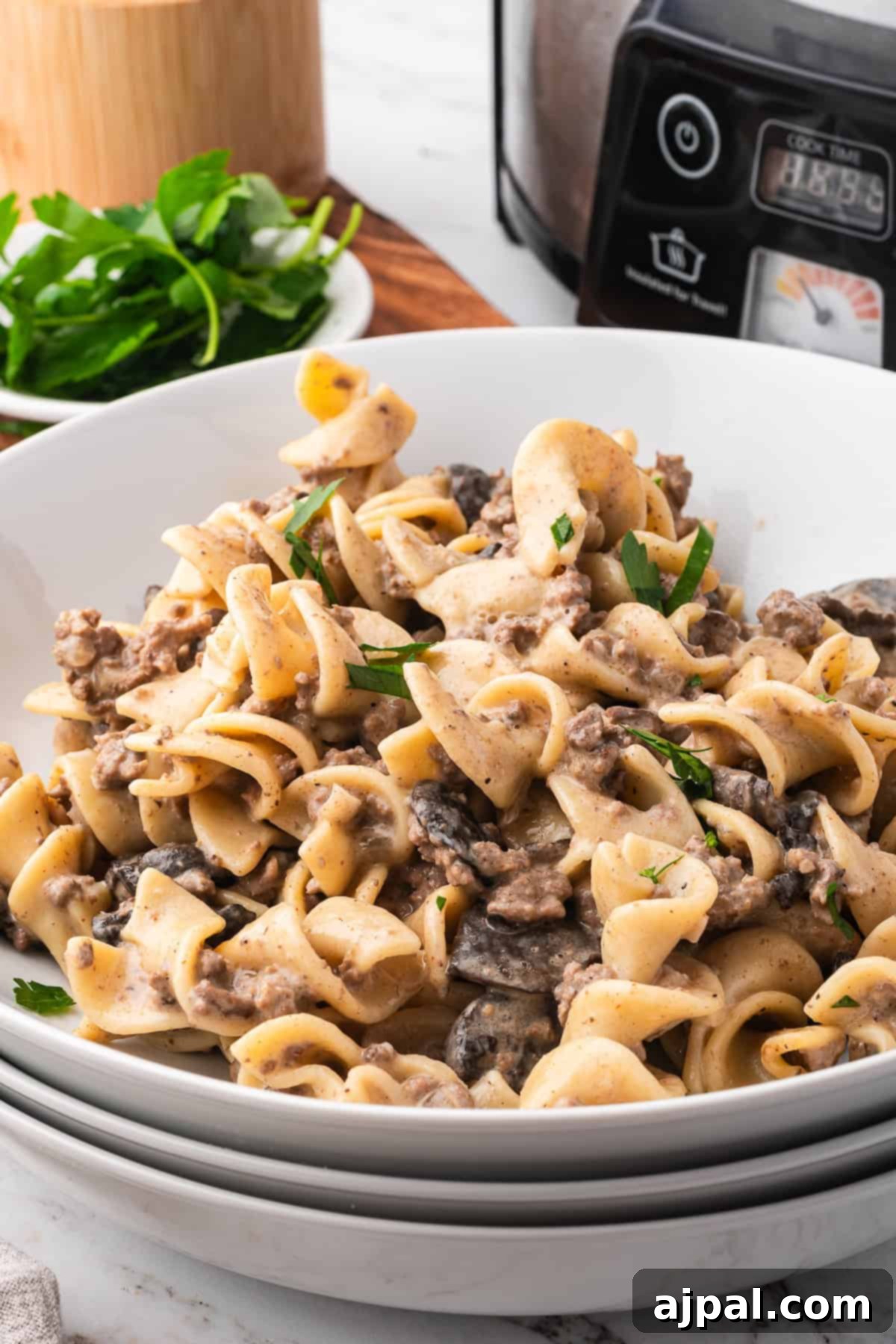 A bowl of Beef Stroganoff with egg noodles, ground beef, mushrooms, and creamy sauce, garnished with parsley; a slow cooker and fresh parsley are in the background.