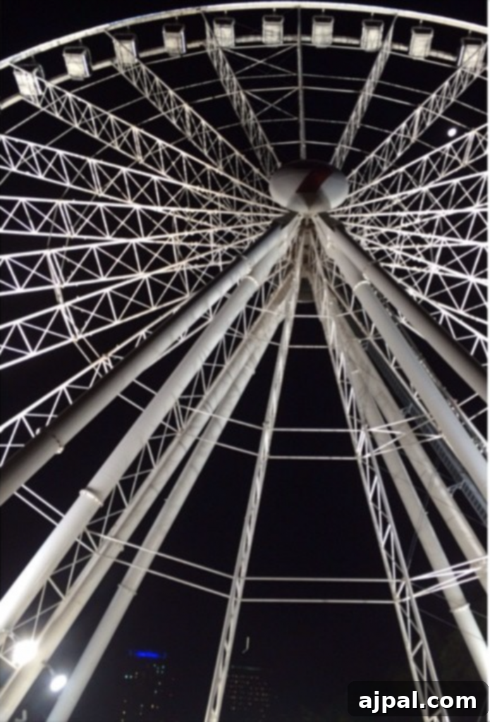 Wheel of Brisbane at night- South Bank, Brisbane, Australia in a black and white photo.