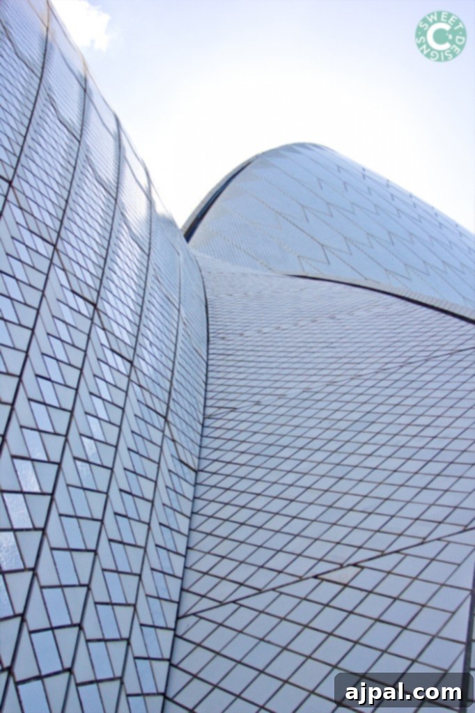 Experience Sydney, Australia 13 Sydney Opera House up close