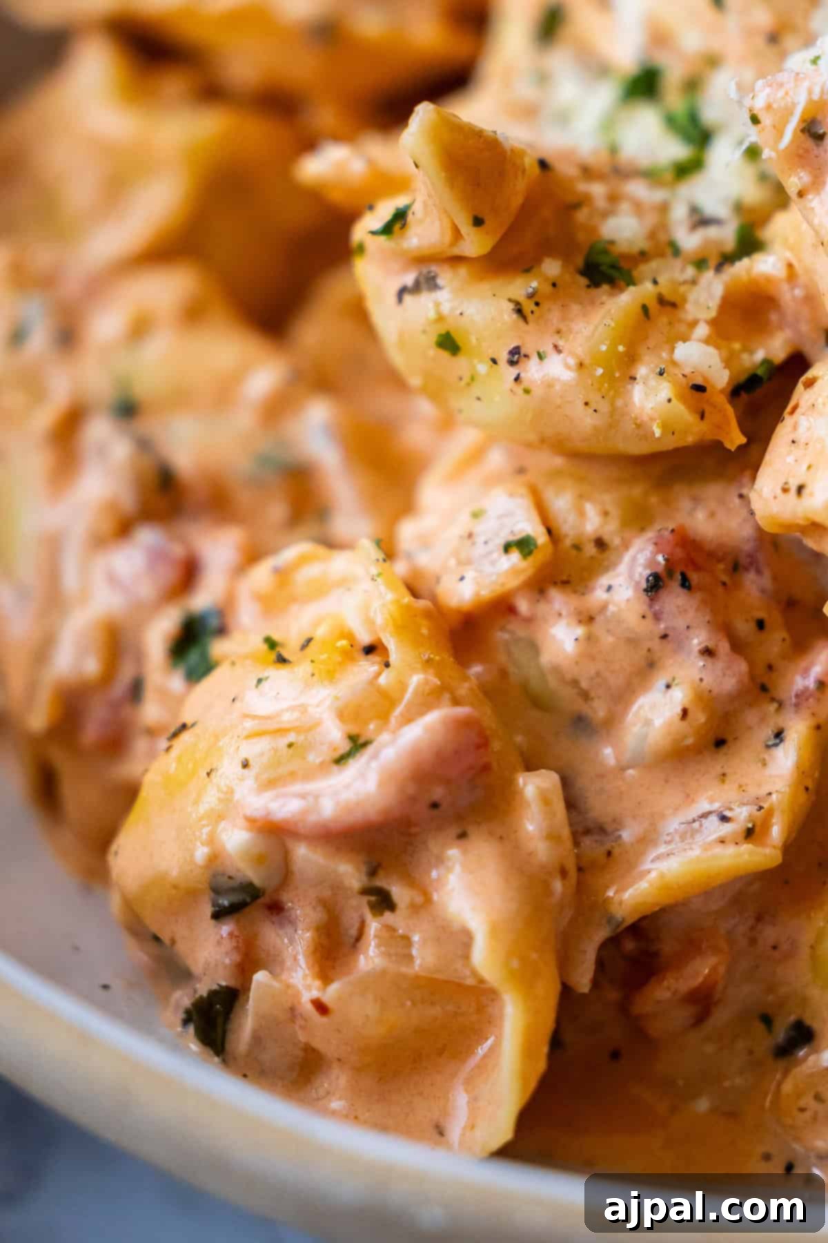 My Edible Soulmate: Tortellini 2 A close up of Marry Me Tortellini showcases this irresistible tortellini recipe, perfect for pasta lovers.