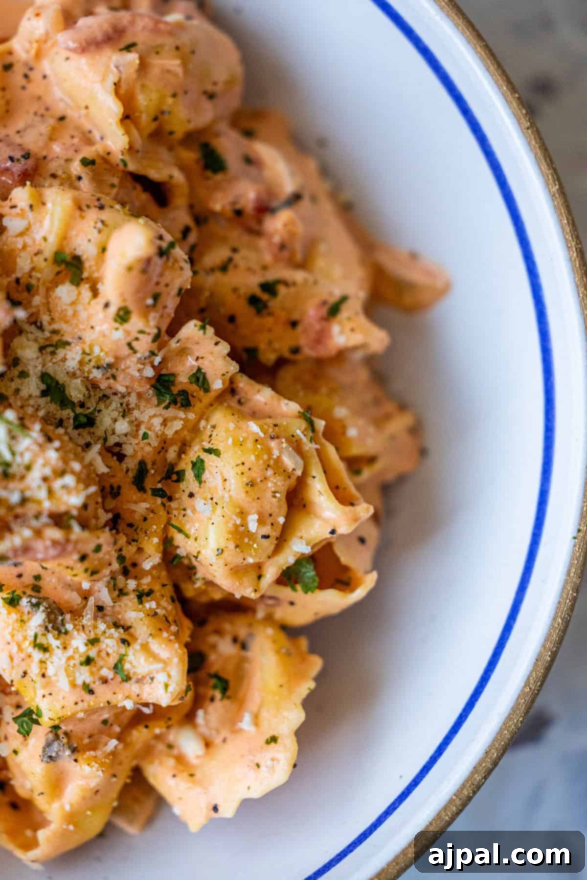 My Edible Soulmate: Tortellini 3 Bowl of tortellini pasta covered in a creamy tomato sauce, garnished with grated cheese and chopped herbs—this Marry Me Tortellini recipe is sure to impress.