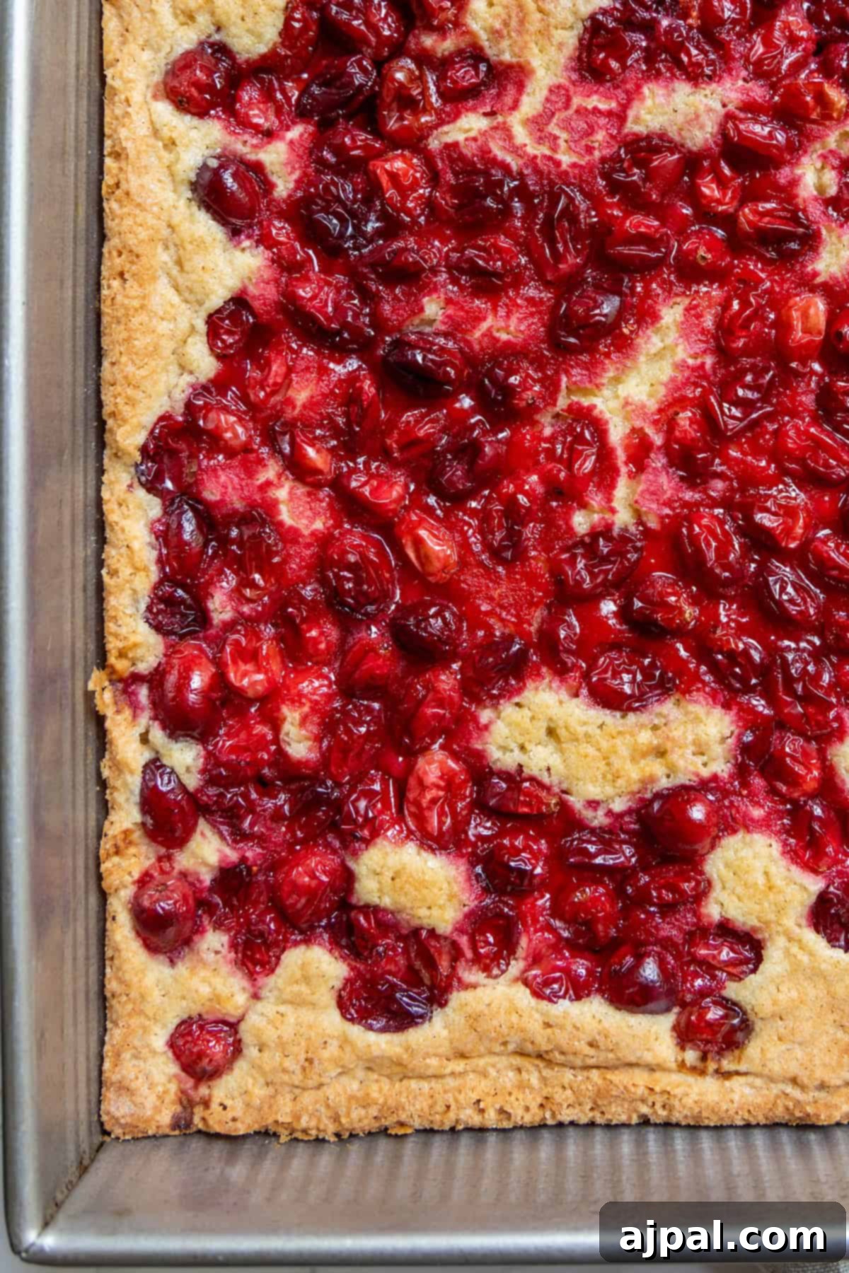 A batch of cranberry bars with a perfectly golden crust and vibrant red cranberries, freshly baked in a rectangular metal pan, emitting a delicious aroma.