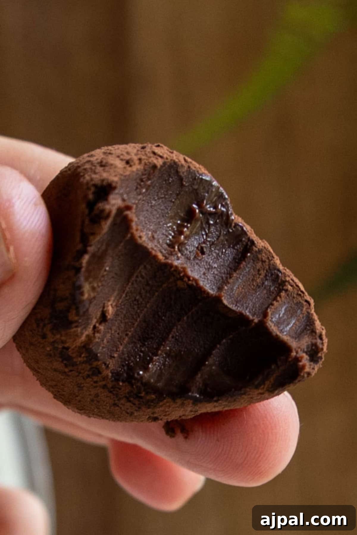 A hand holds a bitten chocolate truffle, revealing a rich, smooth, dark filling inside its cocoa-powder-coated exterior—perfect for chocolate truffles lovers.