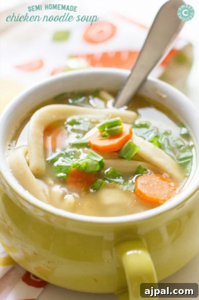 Quick & Easy Semi-Homemade Chicken Noodle Soup 2 A comforting bowl of chicken noodle soup with tender chicken, golden noodles, and vibrant carrots, garnished with fresh green onions.