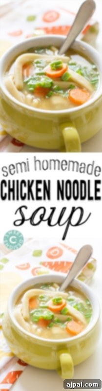 Quick & Easy Semi-Homemade Chicken Noodle Soup 5 A narrow, vertically oriented image of a bowl of chicken noodle soup with fresh green onions, highlighting its comforting appeal.