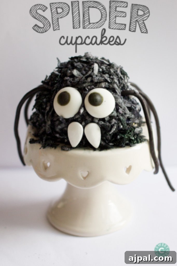 Monster Eye Halloween Cupcakes 2 Hairy spider cupcakes with googly eyes, a perfect fun and easy Halloween baking activity for kids.