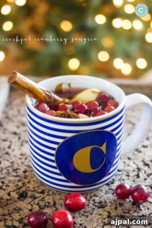 A glass of warm mulled cranberry apple sangria with spices, perfect for a cozy winter evening.