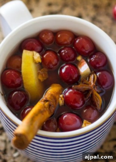 A close-up of a cup of mulled wine with cranberries and cinnamon sticks, highlighting the festive garnishes.