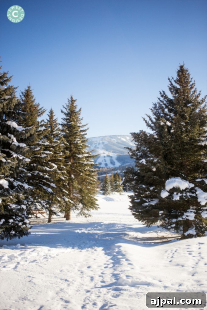 Avon Colorado Alpine Escape 2 Panoramic view of Beaver Creek from Nottingham Park in Avon, Colorado, showcasing snow-covered landscapes and majestic mountains.