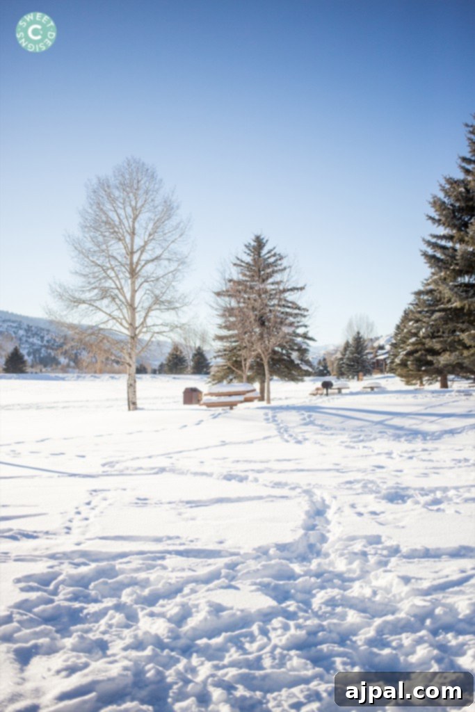 Avon Colorado Alpine Escape 6 Snow-covered Nottingham Lake with dense evergreen trees, located just outside Beaver Creek, Colorado.