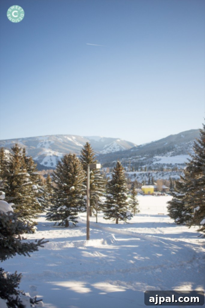 Avon Colorado Alpine Escape 7 A serene, snow-covered field in Avon, Colorado, with majestic trees and distant mountains creating a peaceful winter landscape.