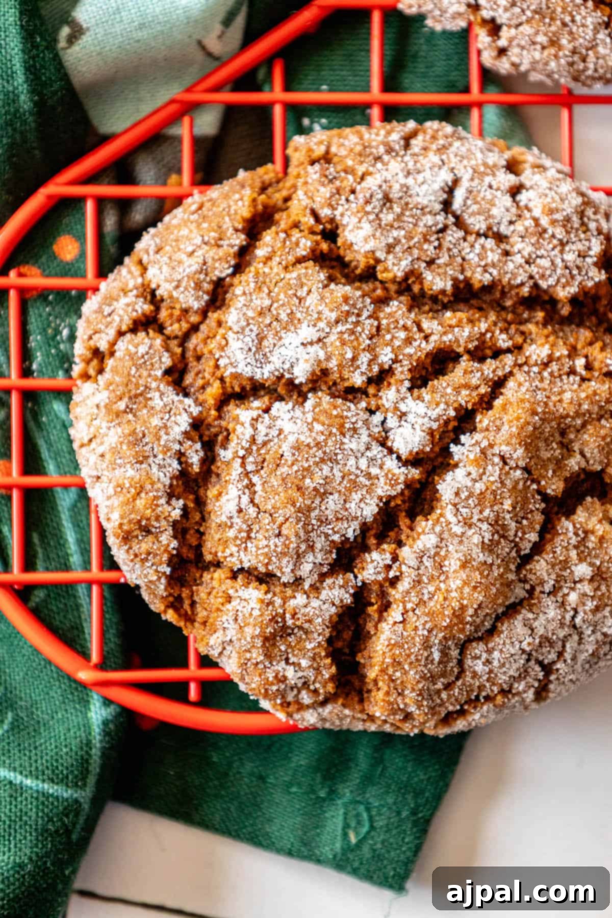 Spiced Molasses Chews 2 Gingerbread cookies on a rack next to an old fashioned red towel.
