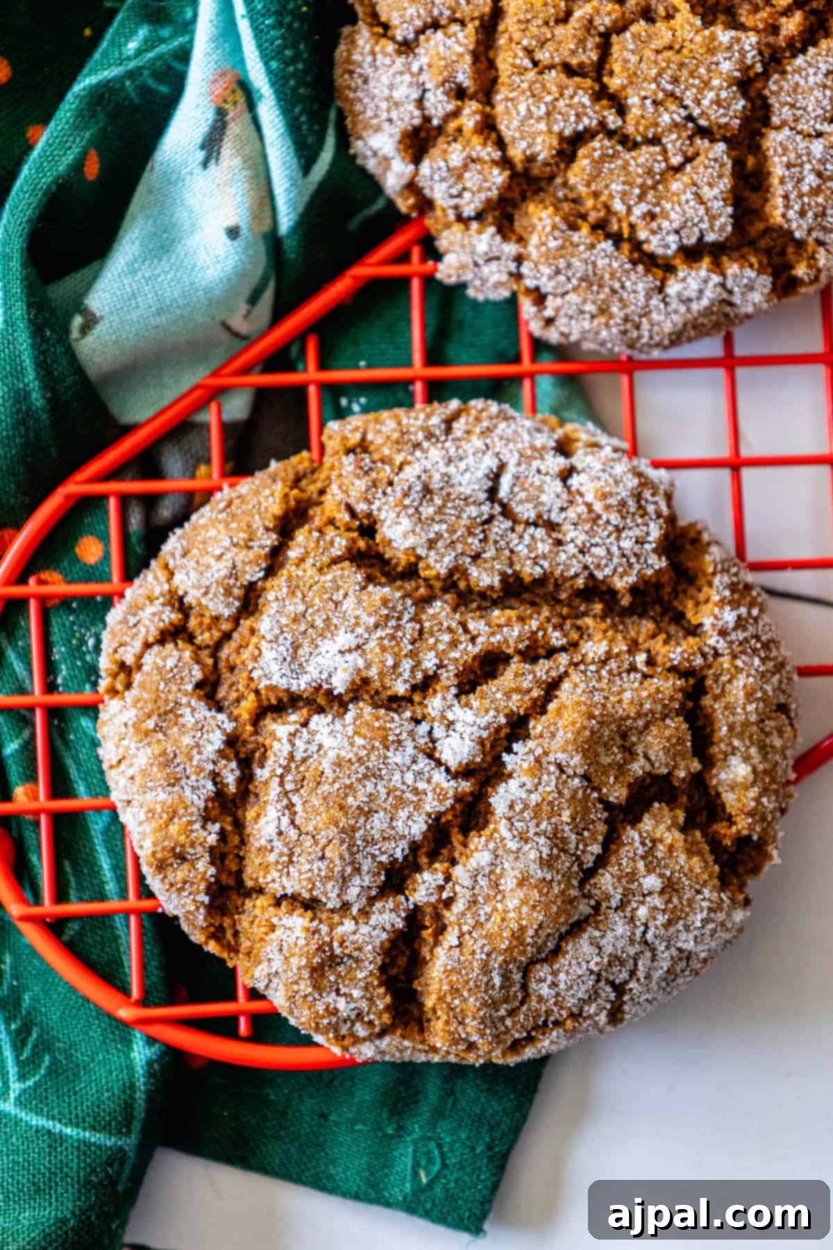 Spiced Molasses Chews 12 Keywords: soft gingersnap cookies recipe, molasses cookies
Description: Two molasses cookies cooling on a rack.