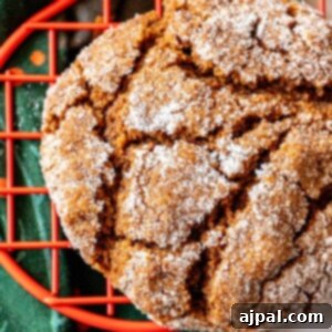 Spiced Molasses Chews 14 A soft gingerbread cookie on a wire rack with powdered sugar.