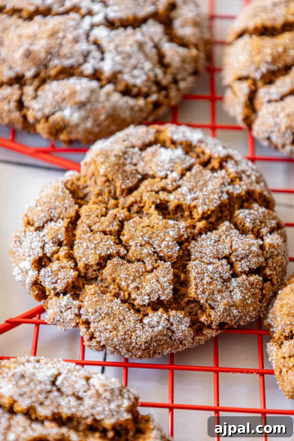 Spiced Molasses Chews 10 Soft gingersnap cookies recipe on a cooling rack with powdered sugar.