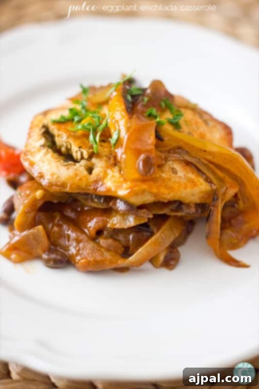 Hearty Paleo Vegan Enchilada Bake 5 A beautifully layered vegan casserole, showcasing tender eggplant and an array of colorful vegetables, baked to perfection. This image highlights the wholesome and appetizing nature of plant-based dishes.