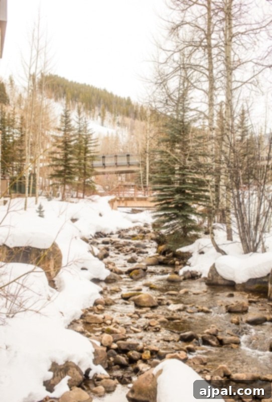 A scenic view of a stream adjacent to Beaver Creek Ski School, surrounded by majestic snow-covered trees.