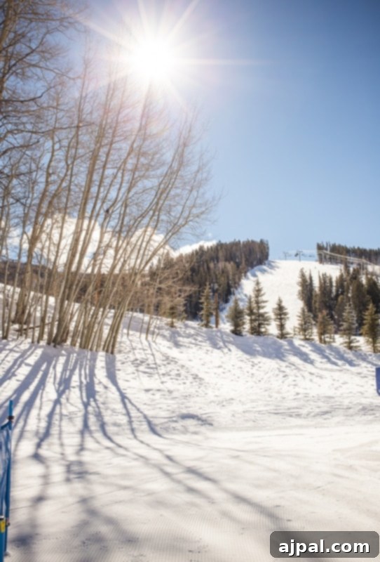 A young skier expertly navigates a snowy slope at Beaver Creek Ski School, framed by snow-dusted trees.