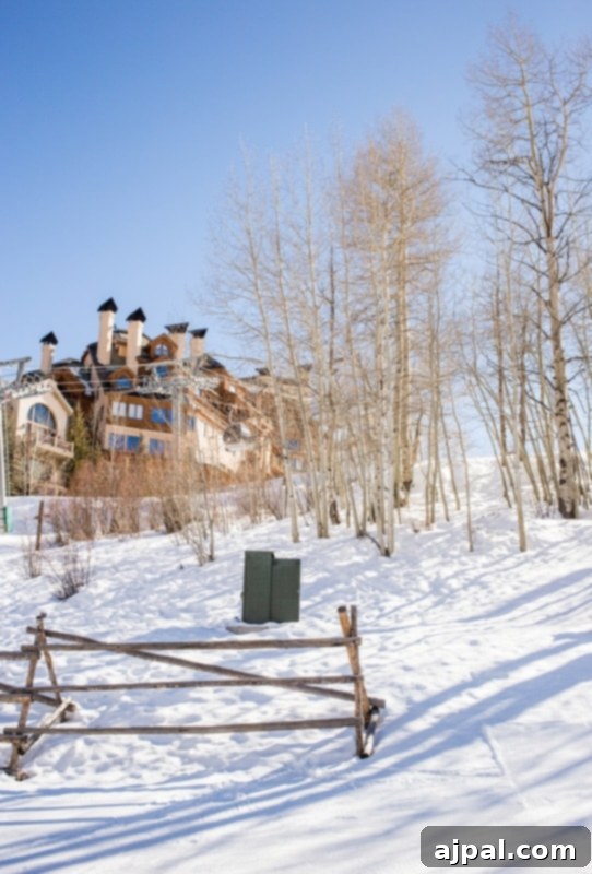 A pristine ski resort scene with snow-covered trees, emblematic of the beautiful environment surrounding Beaver Creek Ski School.
