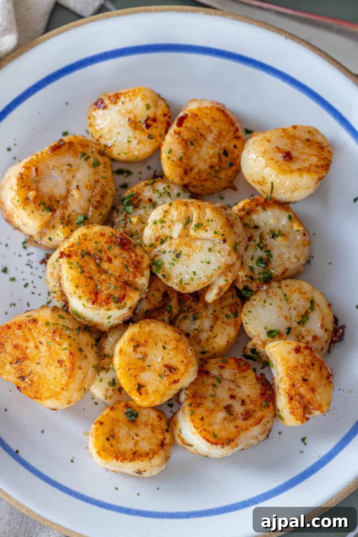 Caramelized Pan Seared Scallops 5 A plate of Perfect Pan Seared Scallops, seasoned with herbs and spices, arranged in a cluster on a white plate with a blue rim.
