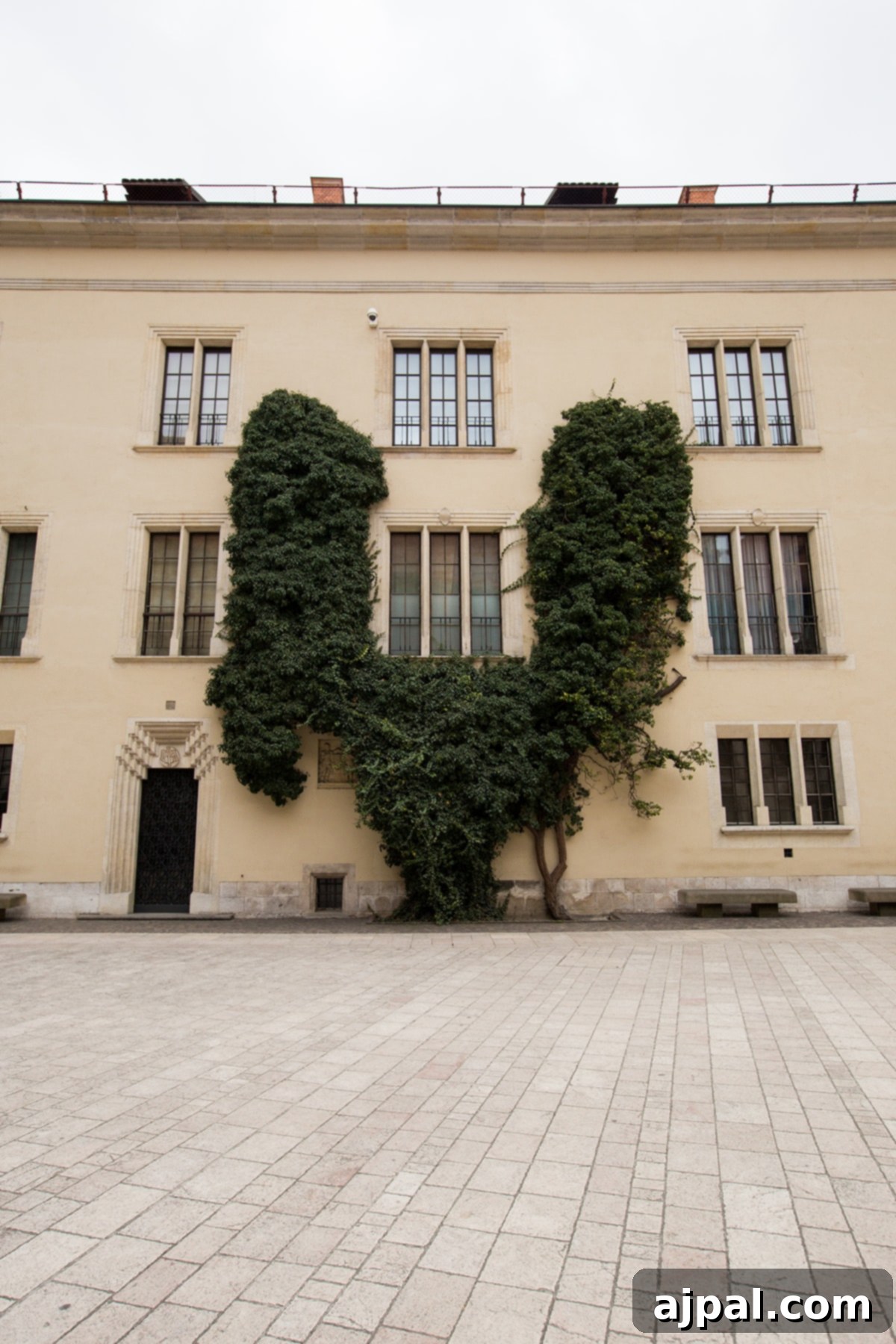 Discovering Krakow's Wawel Castle and Cathedral 12 The picturesque Wawel Castle Courtyard in Krakow, adorned with flourishing ivy and historic architecture