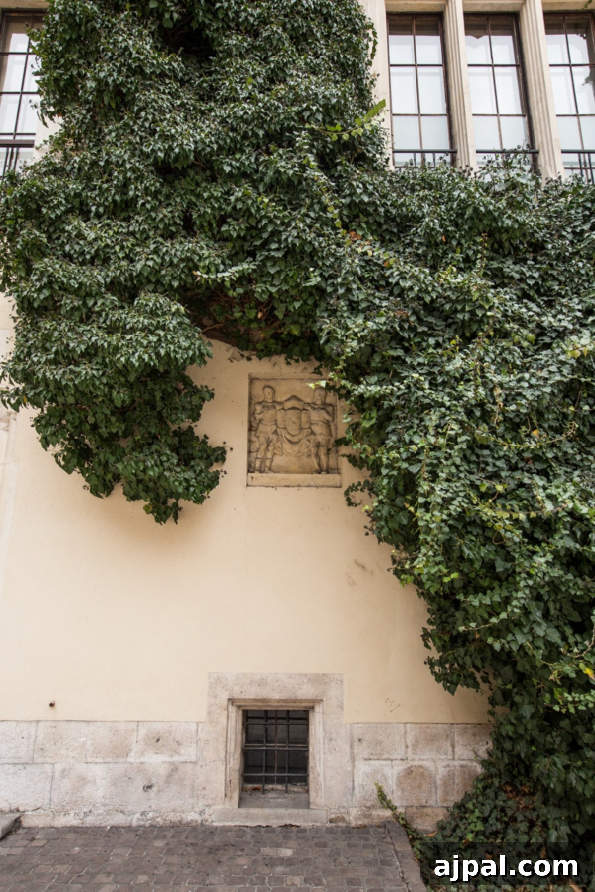 Discovering Krakow's Wawel Castle and Cathedral 13 Detailed view of the ivy-covered side of Wawel Castle in Krakow, highlighting its unique charm