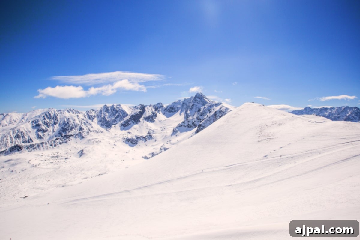 Zakopane Poland Mountain Resort 3 Zakopane Poland ski resort in winter, showcasing a skier descending a snow-covered mountain with a backdrop of picturesque peaks.