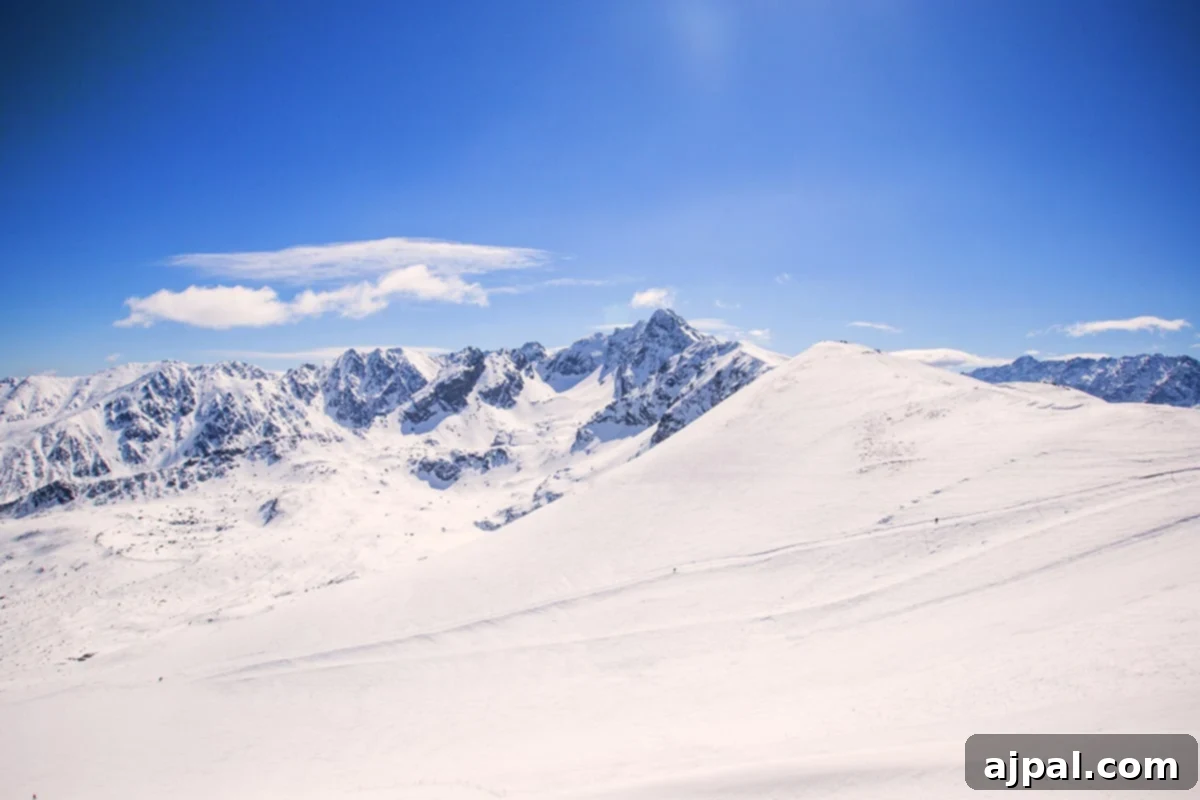 Zakopane Poland ski resort in winter